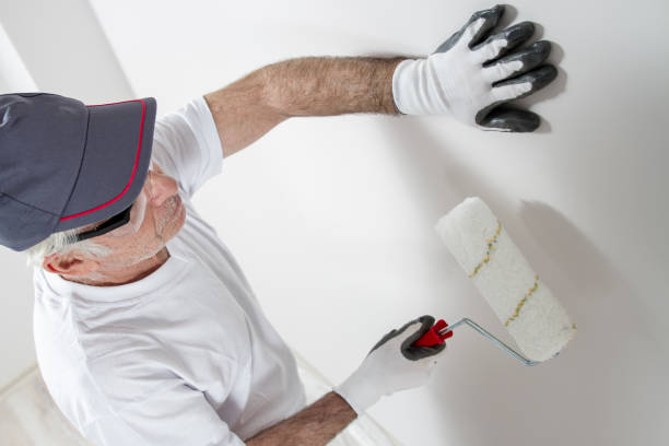 Best Commercial Mold Inspection  in Vernon, WI