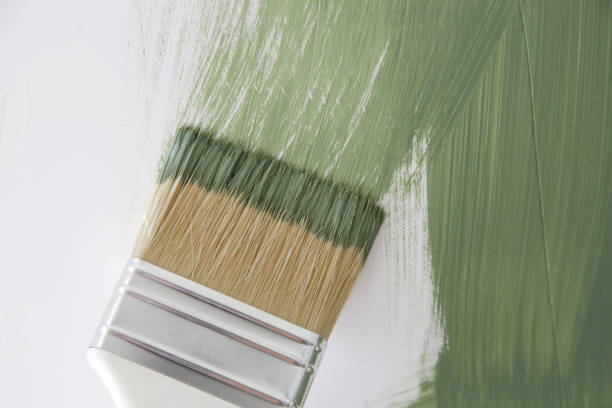 Best Attic Mold Removal  in Vernon, WI