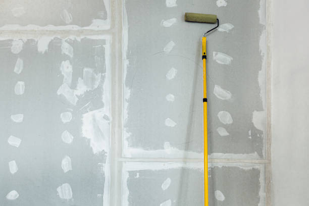 Dehumidification Services in Vernon, WI