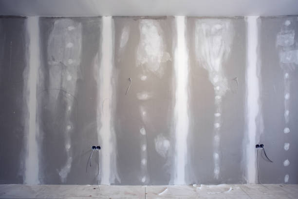 Best Environmental Consulting for Mold Prevention  in Vernon, WI